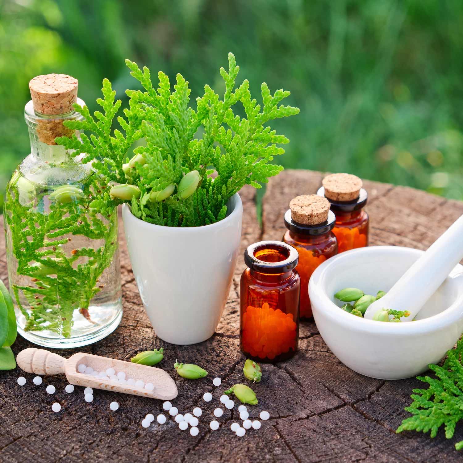 Homéopathie, Pharmacie de Priay, Priay