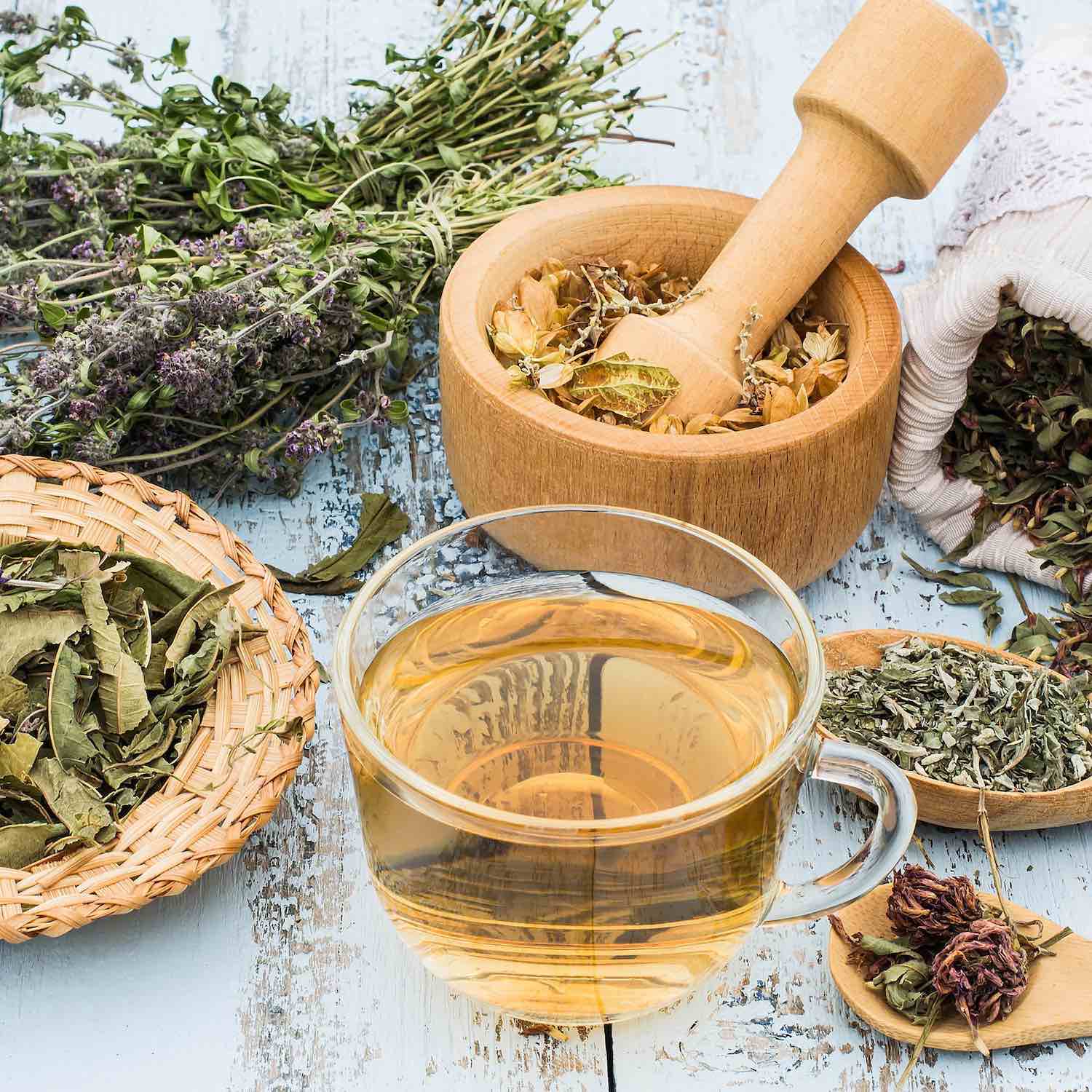 Phytothérapie, tisane bio, Pharmacie de Priay, Priay